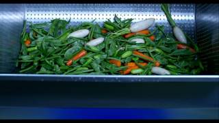 Cosmos Vegetable Washer  EssEmm Corporation [upl. by Norina]