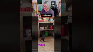 perrito mucha hambre parati edits raccion memes funny mexico paratii s shorts [upl. by Irrep]