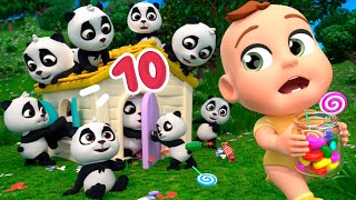 Counting 10 Little Pandas  Lalafun Nursery Rhymes amp Kids Songs [upl. by Renault475]