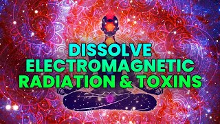 741 Hz EMF Protection Frequency Radiation Removal amp EMF Detox Music [upl. by Luana359]