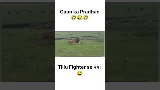 Gaon Ka Pradhan😂ytshort yt viralvideo viralvideos viralshorts viralshort funny memes [upl. by Shelburne134]