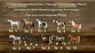 Patenschaft Pferd 021 [upl. by Rede]