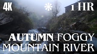 4K AUTUMN MOUNTAIN RIVER  FALL AMBIENCE  1 HOUR LOOP  Flowing River Sounds for Sleep amp Relaxation [upl. by Schaffel]