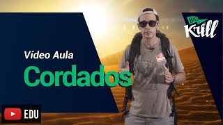 Cordados  Vídeo Aula [upl. by Nyrek]