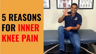 5 Common Causes For Inner Knee Pain [upl. by Longan]