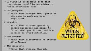 Computer Virus Types Explained  Polymorphic Stealth Retrovirus Multipartite [upl. by Maggy739]