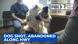 Dog shot in head muzzle taped shut found in ditch along Cowlitz County highway [upl. by Deenya]