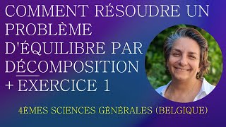 Physique Secondaire  Comment résoudre un problème déquilibre par décomposition  Exercice 1 [upl. by Tloc108]