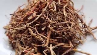 Sarsaparilla Root Tea [upl. by Delmer]