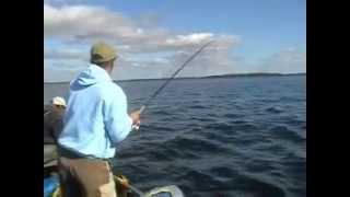 Lake Trout Fishing Manitoba Canada Frank Knossalla Namaycush [upl. by Ikilisav]