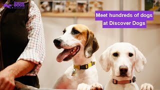 Meet hundreds of dogs at Discover Dogs 2022 [upl. by Copeland]