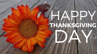 Best Wishes For Thanksgiving Day  Beautiful Happy Thanksgiving Quotes [upl. by Ostap479]