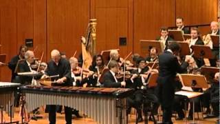 Philip Glass  Violin Concerto No1 for Marimba amp Vibes Mvmt3 performed by Roland Härdtner 2010 [upl. by Eirrek]