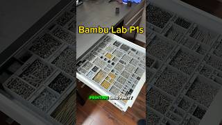 Achieve NextLevel Organization with 3D Printing on the Bambu Lab P1S [upl. by Aristotle]