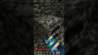 This Youtuber Trapped Me in a Bedrock Igloo… minecraft [upl. by Phelips]