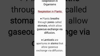 How Respiration in Plants takes place Class 7 ScienceRespiration in Organisms [upl. by Bogart]