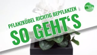 Pflanzkübel richtig bepflanzen  Die richtige Drainage So geht´s [upl. by Eimiaj834]