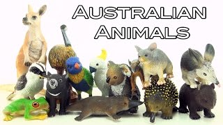 14 Awesome Australian Animals toys  Kangaroo Kookaburra Echidna Platypus Emu Koala Bilby [upl. by Cynthia]