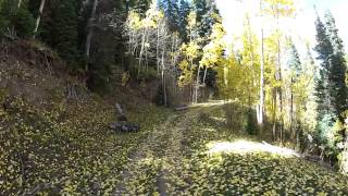 20121005 Owl Creek Stealey Mtn Fall Color [upl. by Lerret164]