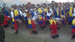 Royal Eswatini Police maidens dancing before their Majesties during the 2018 Umhlanga Reeddance [upl. by Ettennaj]