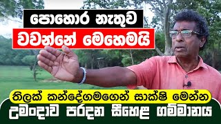 පොහොර නැතිව වවන්නේ මෙහෙමයි  සාක්ෂි මෙන්න  උමංදාව පරදන සීහෙළ ගම්මානය  Thilak Kandegama [upl. by Anuahsat210]