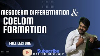 mesoderm differentiation and coelom formation [upl. by Goodspeed]