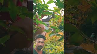 Short video bhalo Lage comment subscribe share share follow subscribe 🔥🔥🔥 [upl. by Ttessil36]