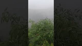 evening tea at hill top farm stay  snow Rain ☔  Nature  Calicut  India [upl. by Tempa502]