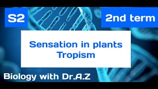 Biology senior 2  chapter 5  lesson 1  sensation in plants part 2  tropism [upl. by Olleina]