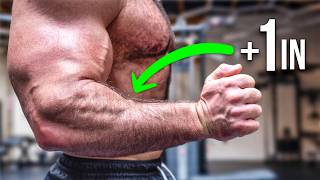 Want Huge Forearms I Gained 1 Inch Using THIS ScienceBacked Method [upl. by Annwahs690]