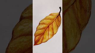 Fallen Leaf A Watercolour Painting 🎨 art drawing painting [upl. by Arabella]