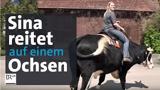 Sina reitet auf einem Ochsen  BR24 [upl. by Mmada]