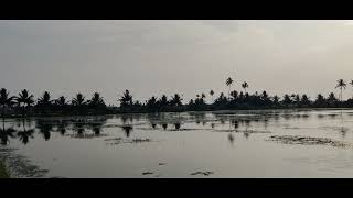 CHANGARM WETLANDS  Alappuzha  Tourism Kerala [upl. by Gnay]