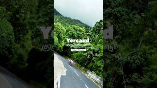 Yercaud Climate Today  Yercaud tourist places to visit [upl. by Diaz14]