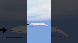 How Flight Controls Work on an Airfoil aeroplane aerodynamics airplane [upl. by Yukio]