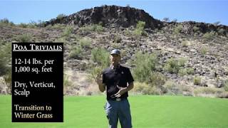 OB Sports Golf Course Overseed Explanation [upl. by Grunberg]