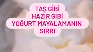 FIRINDA TAŞ gibi YOĞURT MAYALAMAnın Sırrı😊HAZIR Gibi YOĞURT Nasıl Yapılır✅️Yoğurt Tarifi [upl. by Dyan]