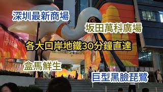 【EP27 深圳最新商場坂田萬科廣場盒馬鮮生】 🏬深圳最新商場 🚇坂田 🛍️萬科廣場 🛒盒馬鮮生 🦢黑臉琵鷺 🦆大黃鴨 [upl. by Anoif]