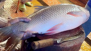 Amazing Cutting Skills  Giant Rohu Fish Cutting Skills By Expert Fish Cutter [upl. by Ilellan171]