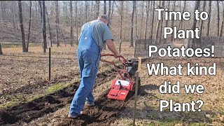 How Pa Plants his PotatoesWhat kind did we Plant [upl. by Ahsitra]