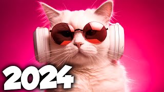 MÚSICA ELETRÔNICA 2024 🔥 AS MÚSICAS ELETRÔNICAS MAIS TOCADAS 🔥 Alok Vintage Culture amp David Guetta [upl. by Wood382]