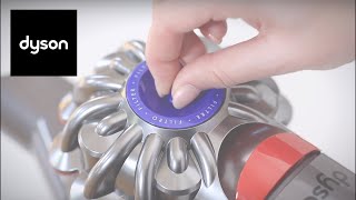 How to clean your Dyson V8™ cordless vacuums filters [upl. by Girovard750]