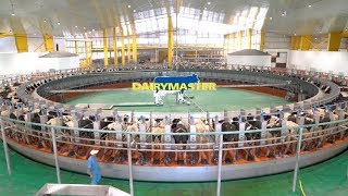 Huge 100 unit rotary milking parlour  Baladna Farm Qatar [upl. by Oinotnaesoj]