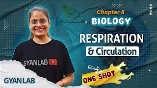 One Shot Lecture  Chp  8  Respiration amp Circulation  Gyanlab  Anjali Patel oneshotlecture [upl. by Muns86]