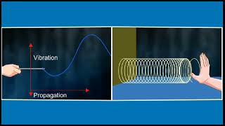 Transverse Waves ⚡3d animation  Class 9 physics [upl. by Irtimid476]