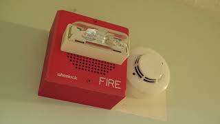 Firecom 8500 Evacuation Alarm  Wheelock E702430W Speaker Strobe [upl. by Gerda]