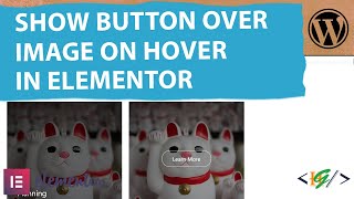 How to Show Button When Hover Effect Over an Image using Plugin in Elementor WordPress [upl. by Bess]