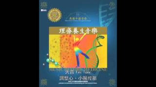 吳慎中國音療 理療養生音樂 火音 Shen Wus Chinese Therapentic Music  Music Before Medicine  Fire Tone [upl. by Felisha862]