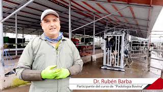 CURSO DE PODOLOGÍA BOVINA Dr Rubén Barba [upl. by Glynas]