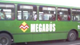 Megabus Pereira [upl. by Roice]